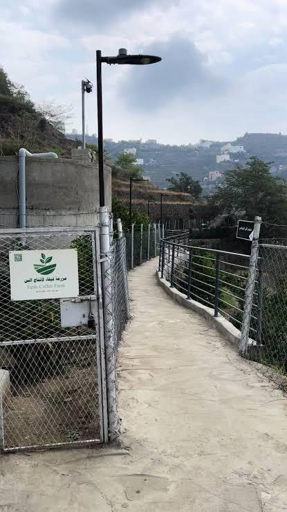 332333 ممشى البن الخولاني بفيفاء.. تجربة سياحية تسكن الذاكرة