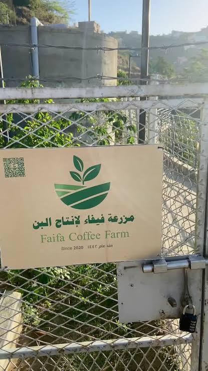 332433 ممشى البن الخولاني بفيفاء.. تجربة سياحية تسكن الذاكرة