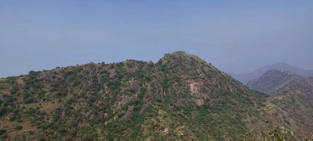 442444-1024x461 جبل صماد ( ببلغازي )