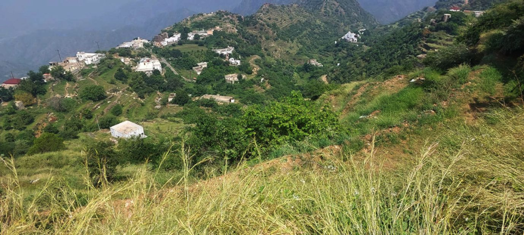 442544-1024x461 جبل صماد ( ببلغازي )