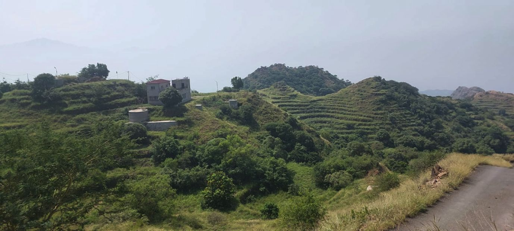 442644-1024x461 جبل صماد ( ببلغازي )