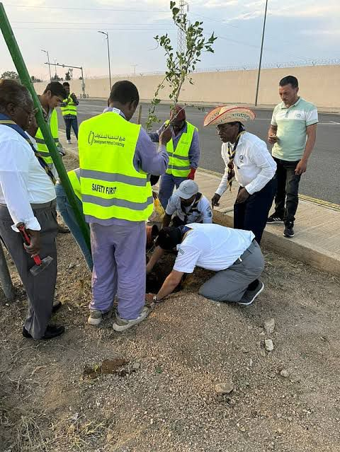 8801 الطائف تتوشّح خضرة.. غرس 50 ألف شجرة