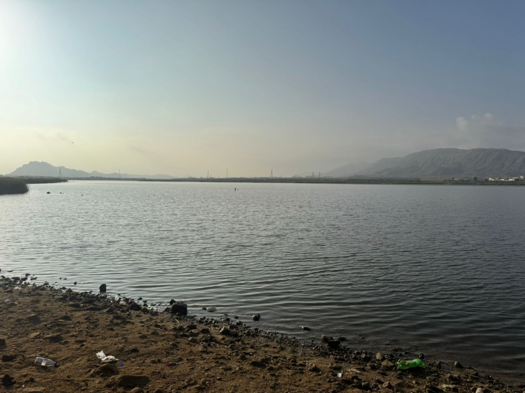 88022-1024x768 صباحٌ يتنفس تطوّعًا… ورحلة صنعتها قلوب تُشبه الضوء