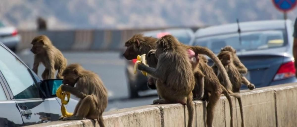 10221-1024x439 مواطنون يتحدثون لـ«صحيفة أصداء المناطق الإلكترونية