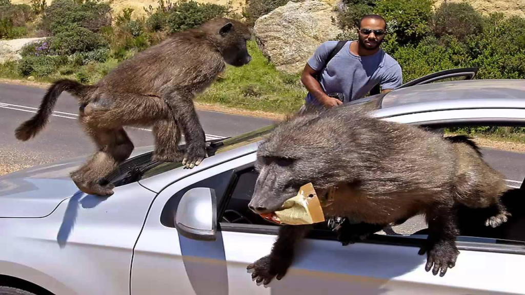 10224-1024x576 مواطنون يتحدثون لـ«صحيفة أصداء المناطق الإلكترونية