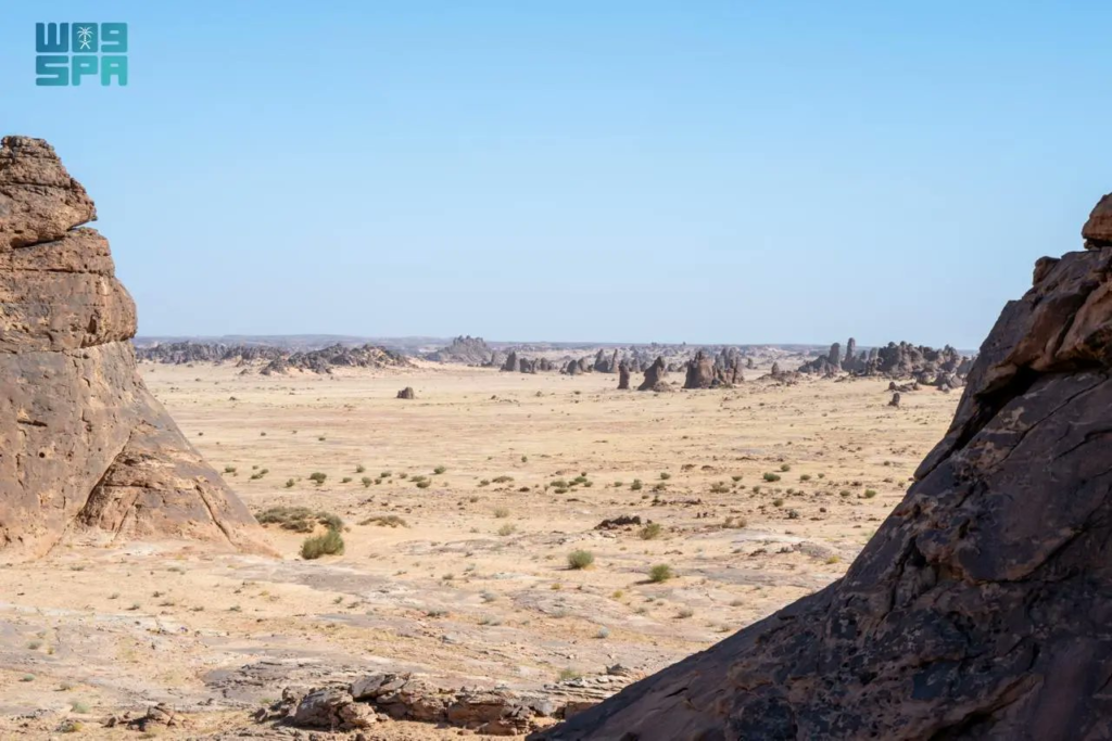 1000445557-1024x683 الهيئة الملكية للعُلا تعلن عن اكتشاف أحافير تعود إلى 465 مليون سنة