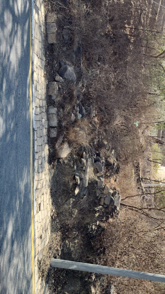 10094-576x1024 قبور على قارعة الإهمال