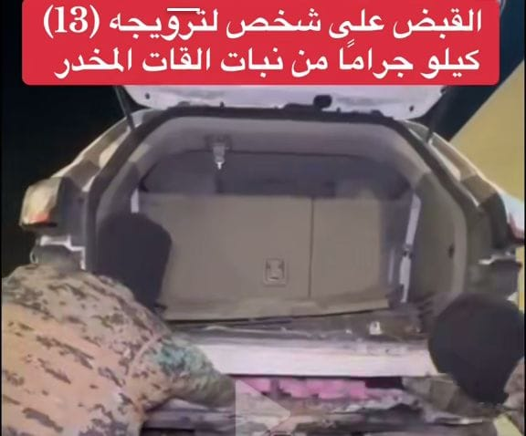 637 ضبط كمية تُقدّر بـ(13) كيلو جرامًا من نبات القات المخدر