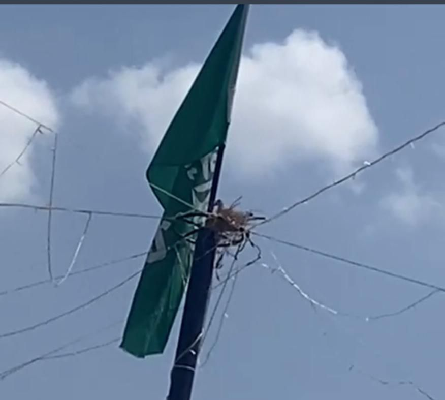 6104 “تحت راية الأمان”