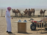 لبن الابل