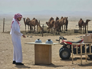 لبن الابل