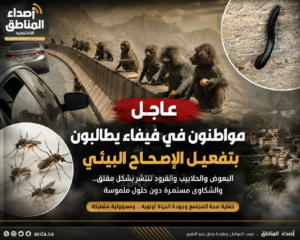 فيفاء
