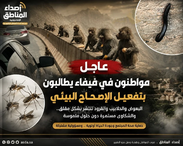 فيفاء