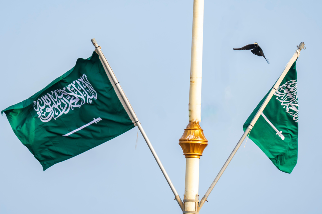8085-1024x682 جازان تتزيّن للوطن بـ200 ألف عنصر احتفالي